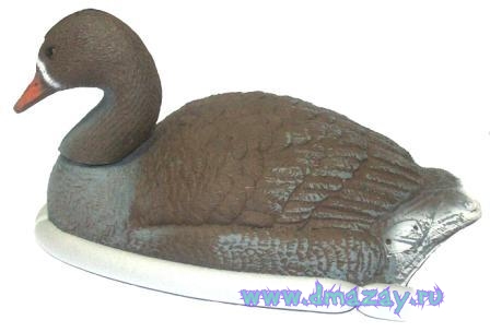 Чучело подсадное гусь Белолобый плавающий полукорпусной (Краснодар)